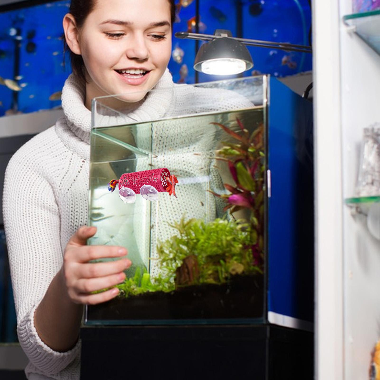Aquarium Fish Small - Betta Habitat Dinlenme Barınağı Süs Balık