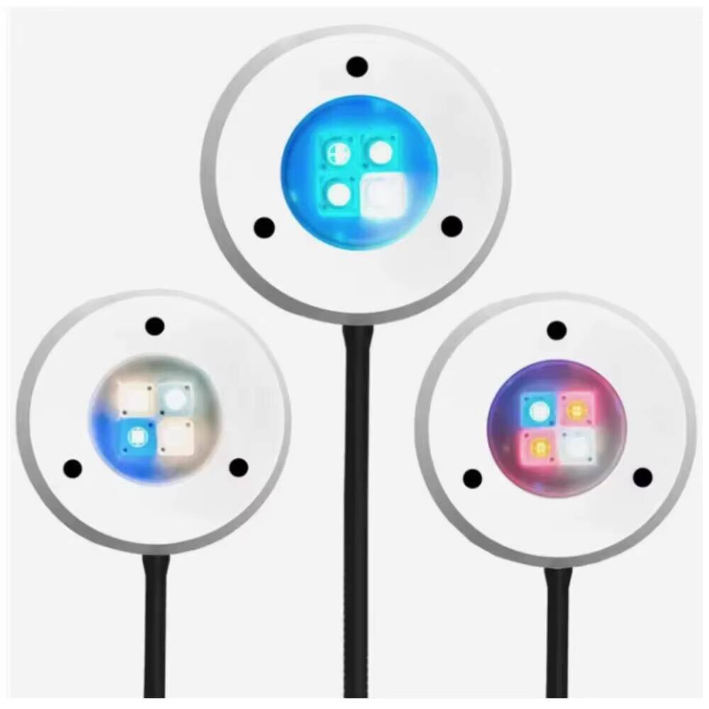 Refugium Light Nano - Yeni Spectra SP20 Nano tankı akvaryum