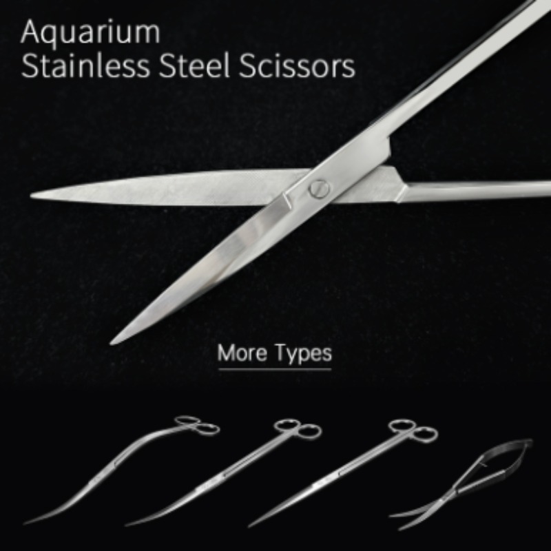 Aquarium Fish Buy - Week Aqua Paslanmaz Çelik Su Bitkisi