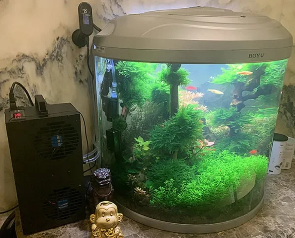 Sabit Sıcaklık Ayarlanabilir Y - Aquarium Fish Small incelemesi ve fiyatı