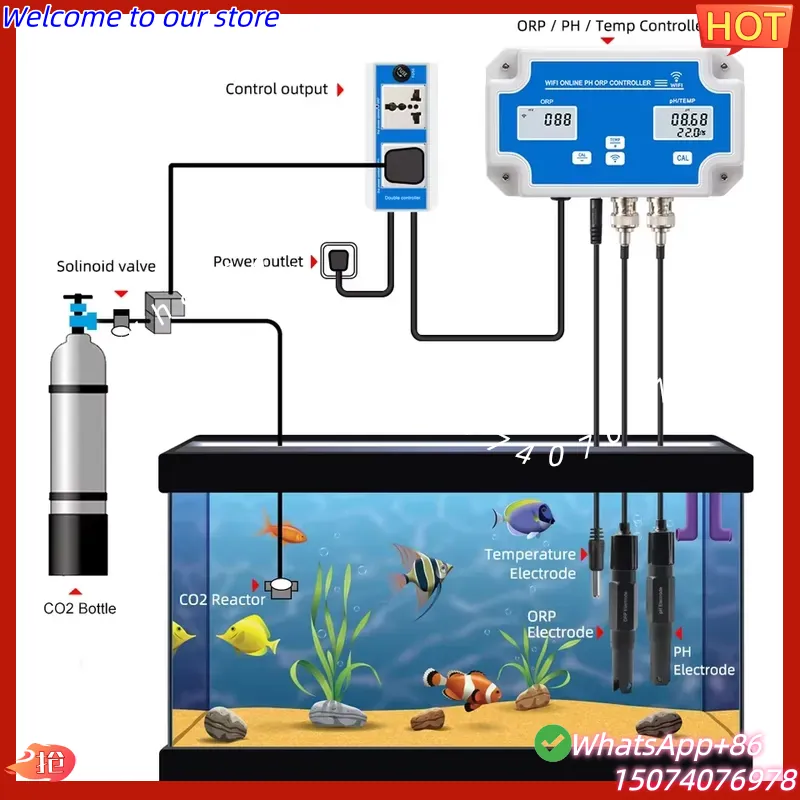 2026 Kablosuz WiFi Online Kont - Aquarium Fish In Online incelemesi ve fiyatı