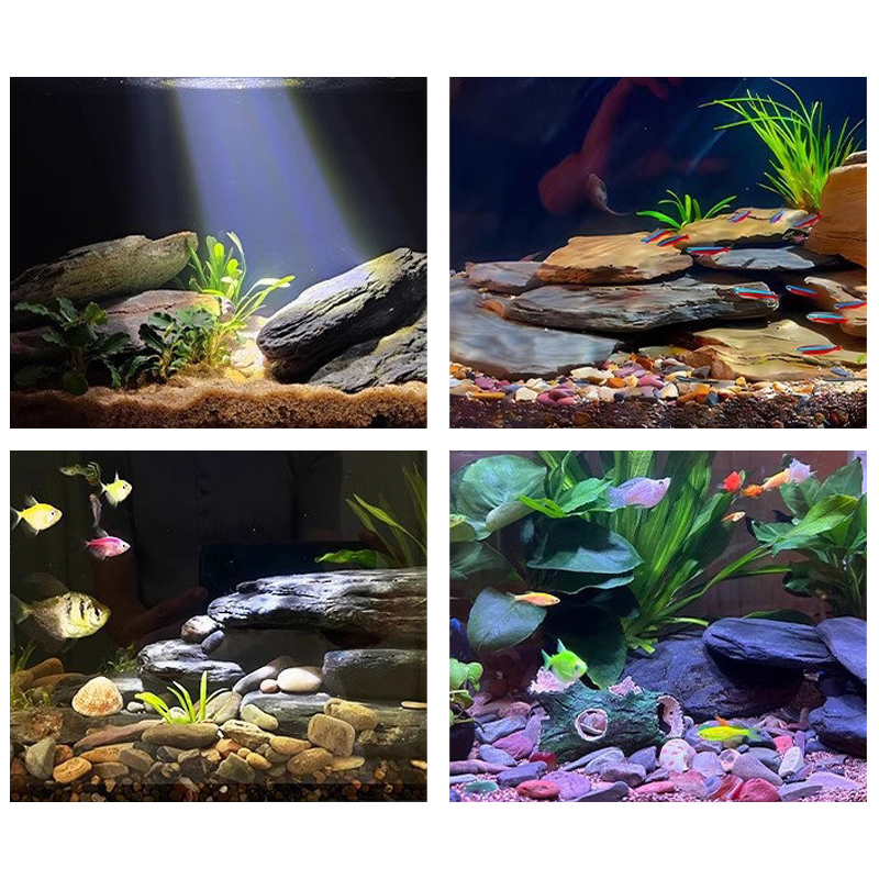 500/1000g Balık Tankı Peyzaj T - Aquarium Fish Fishing incelemesi ve fiyatı