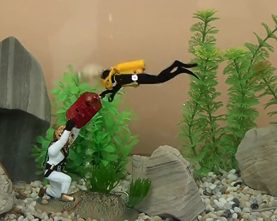 Sıcak Akvaryum Dekorasyon Deni - Aquarium Fish Gif incelemesi ve fiyatı