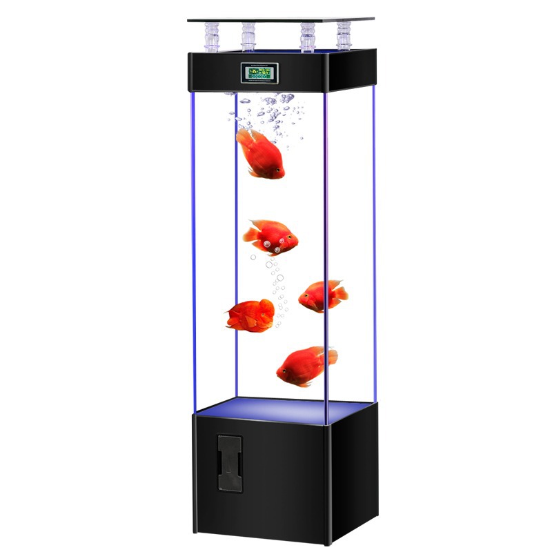 Ultra şeffaf cam balık tankı,  - Live Fish Aquarium incelemesi ve fiyatı