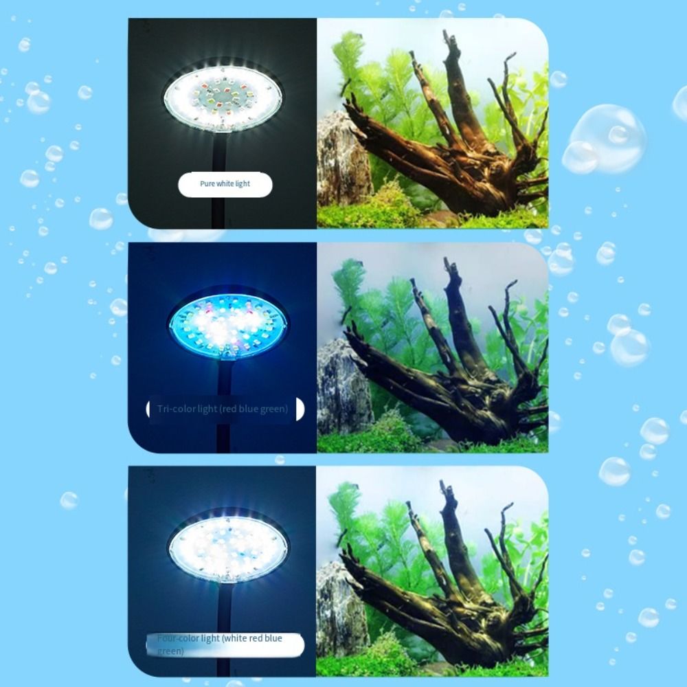 Mini Balık Tankı Klipsli Lamba - Live Fish Aquarium incelemesi ve fiyatı
