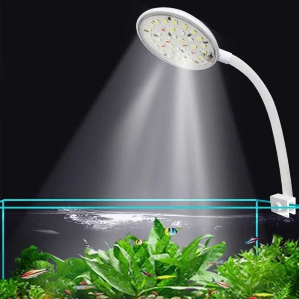 Mini Balık Tankı Klipsli Lamba - Live Fish Aquarium incelemesi ve fiyatı