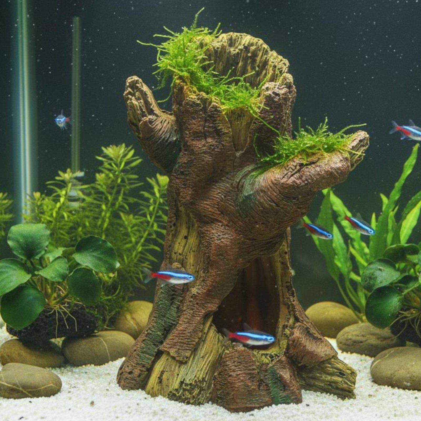 Akvaryum Peyzaj Dekorasyonu Ak - Aquarium Fish Usa incelemesi ve fiyatı