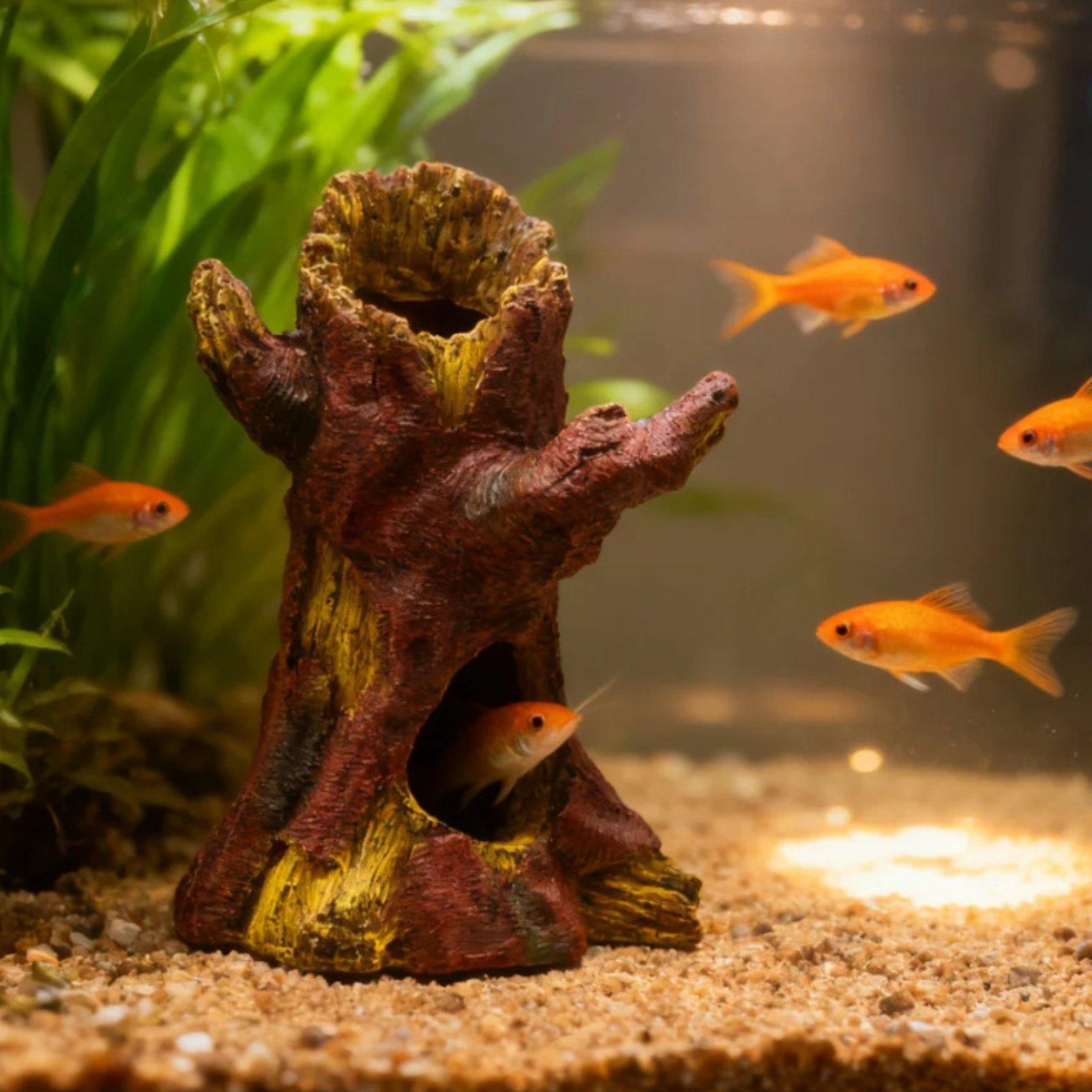 Akvaryum Peyzaj Dekorasyonu Ak - Aquarium Fish Usa incelemesi ve fiyatı