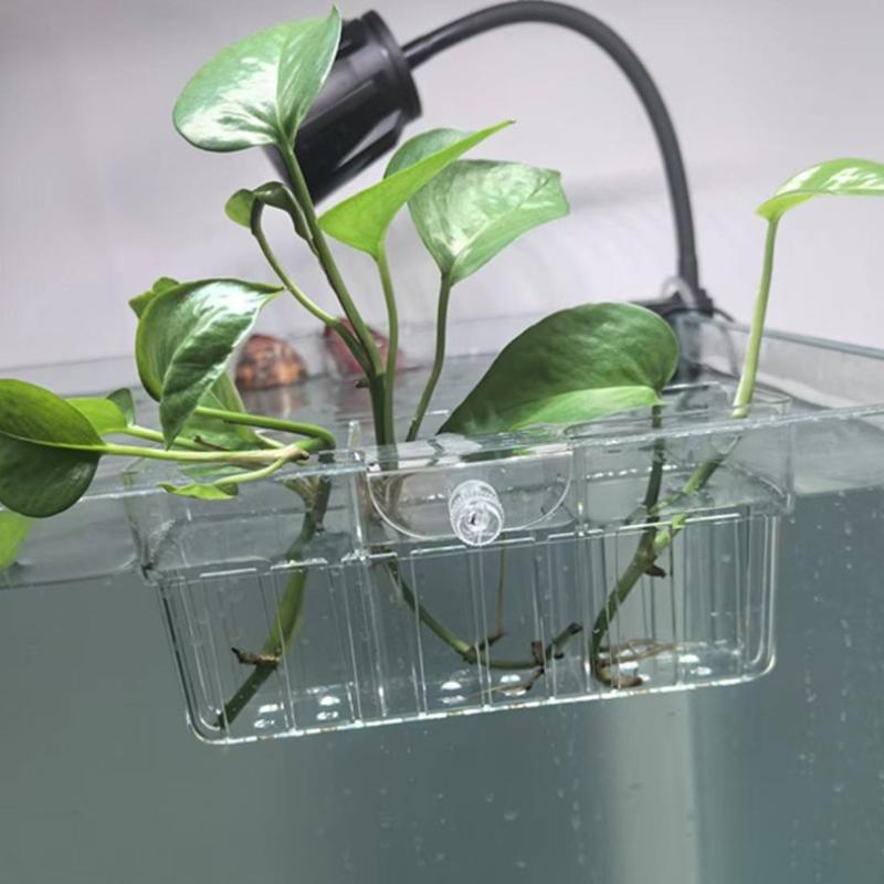 Hidroponik Bitki Sepeti Gıda S - Aquarium Fish Usa incelemesi ve fiyatı