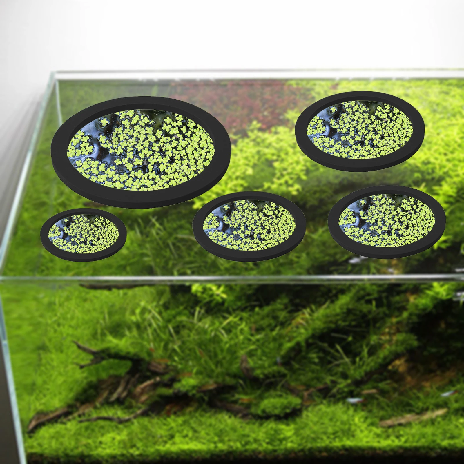 5 adet EVA balık besleme halka - Aquarium Fish Usa incelemesi ve fiyatı