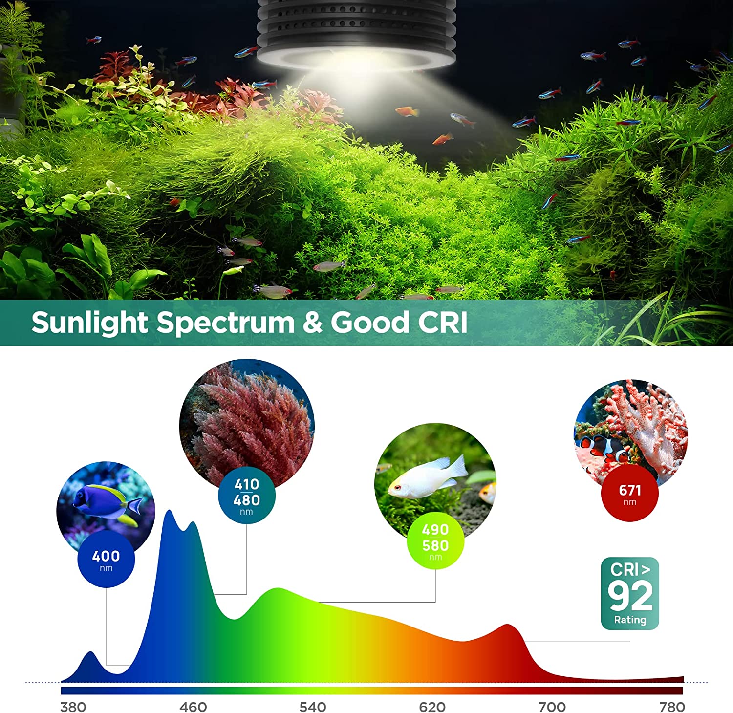 Lominie Asta 20 Tatlı Su 18W R - Refugium Light Nano incelemesi ve fiyatı