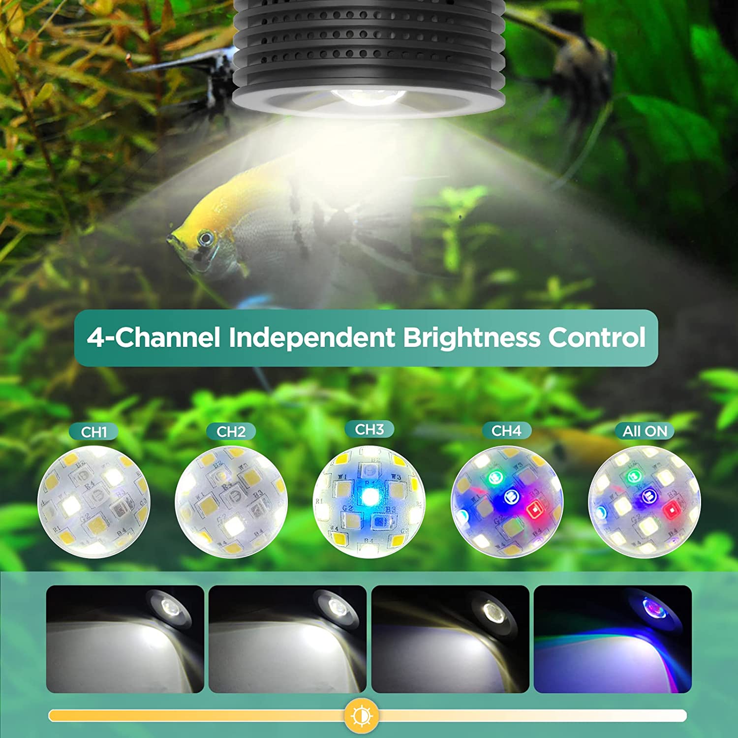 Lominie Asta 20 Tatlı Su 18W R - Refugium Light Nano incelemesi ve fiyatı