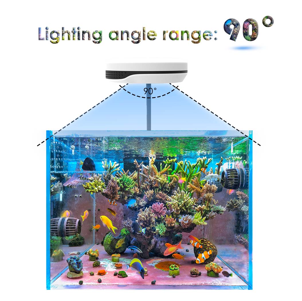 20W Spectra SP20 Ac110-240V Ta - Refugium Light Nano incelemesi ve fiyatı