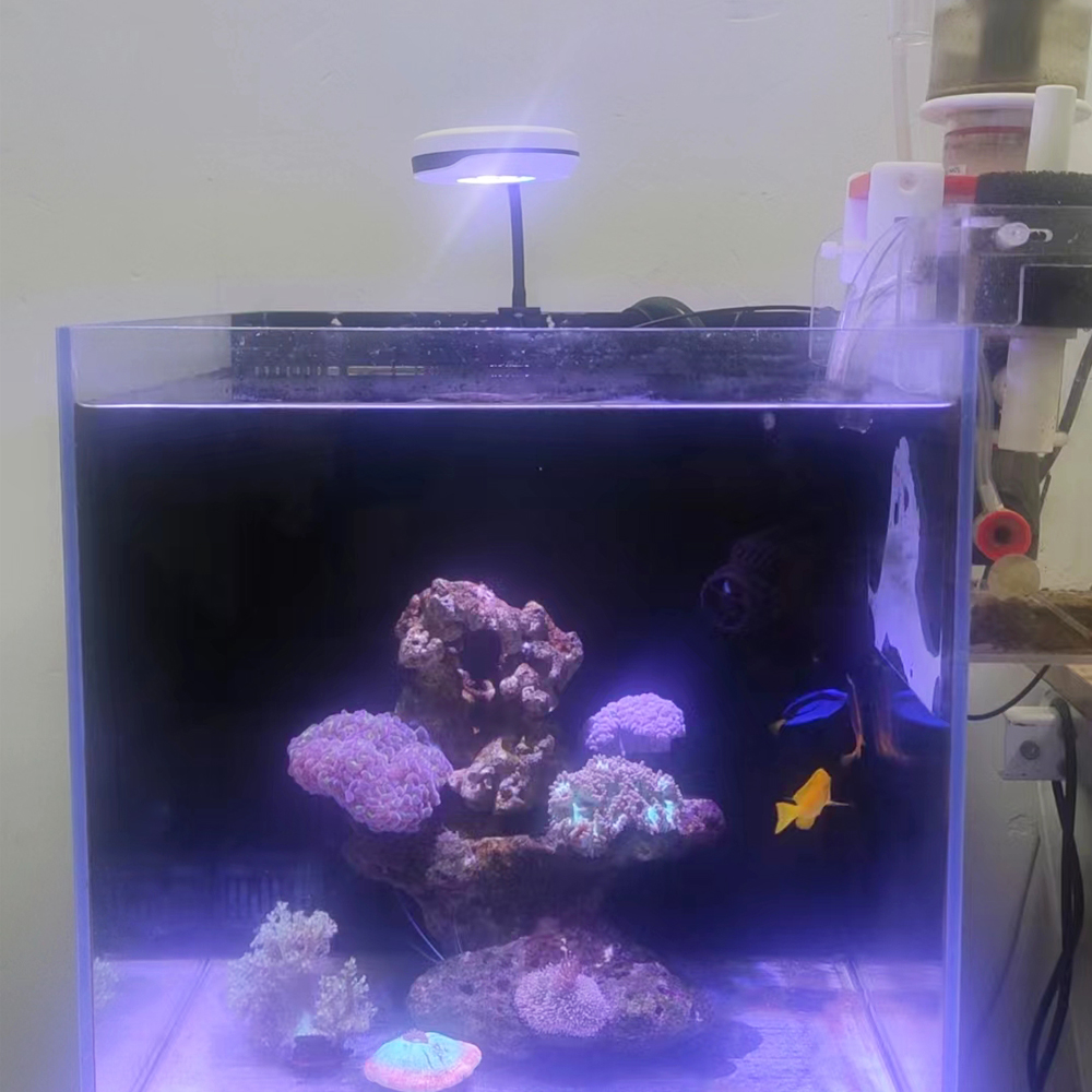 20W Spectra SP20 Ac110-240V Ta - Refugium Light Nano incelemesi ve fiyatı