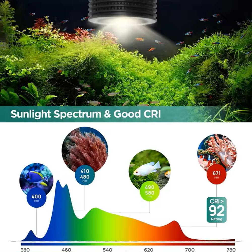 Lominie Asta 20 Tatlı Su 18W R - Refugium Light Nano incelemesi ve fiyatı