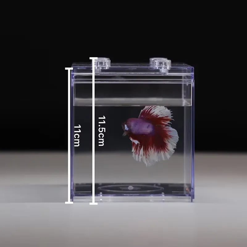Relaxlines Mini Akvaryum Kutus - Aquarium Fish Small incelemesi ve fiyatı