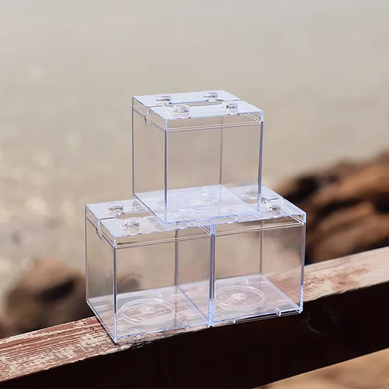 Relaxlines Mini Akvaryum Kutus - Aquarium Fish Small incelemesi ve fiyatı