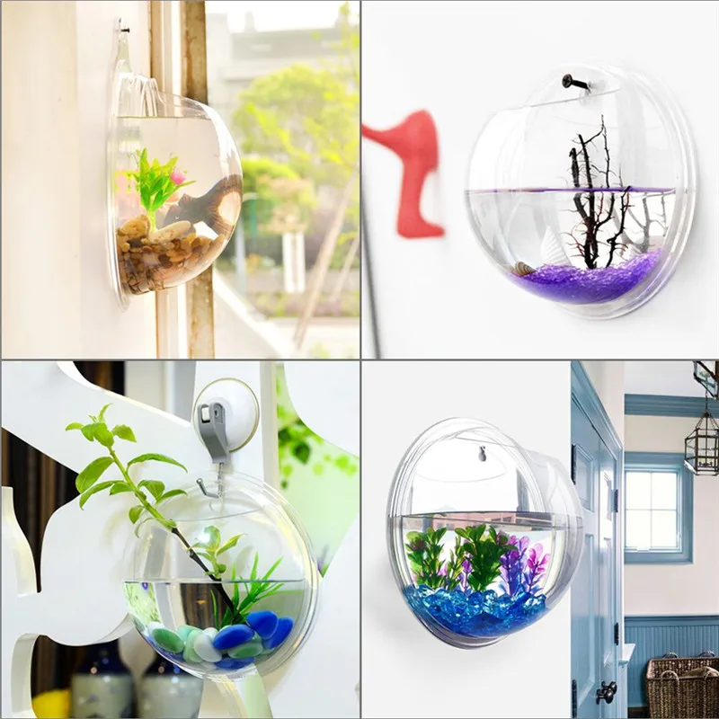 Şeffaf akrilik asılı duvar akv - Live Fish Aquarium incelemesi ve fiyatı