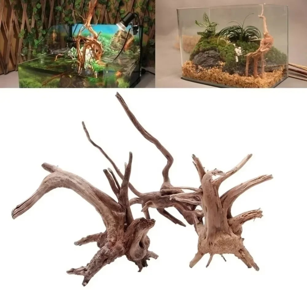 (15-20cm) Doğal Deniz Odunu Ak - Aquarium Fish Fishing incelemesi ve fiyatı