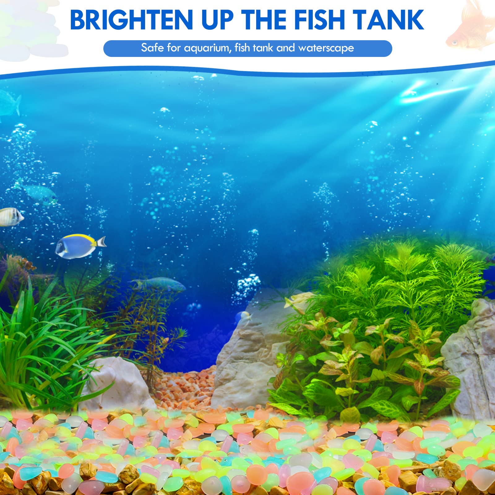 100 Adet Karanlıkta Glow Bahçe - Aquarium Fish Fishing incelemesi ve fiyatı
