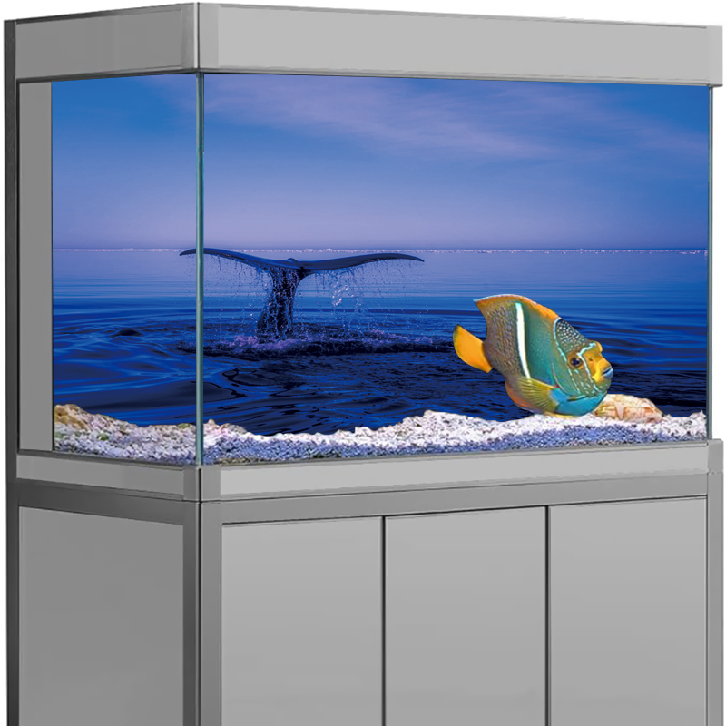Akvaryum Arka Plan Çıkartması  - Aquarium Fish Dolphin incelemesi ve fiyatı