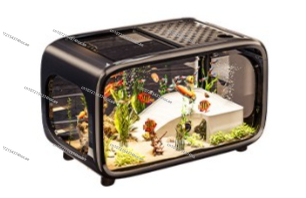 Kapaklı Yaratıcı Şeffaf Ekoloj - Live Fish Aquarium incelemesi ve fiyatı