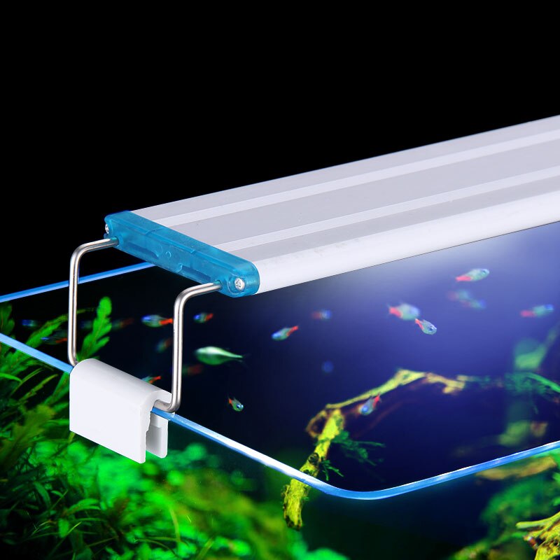 Balık tankı için genişletilebi - Aquarium Fish Buy incelemesi ve fiyatı